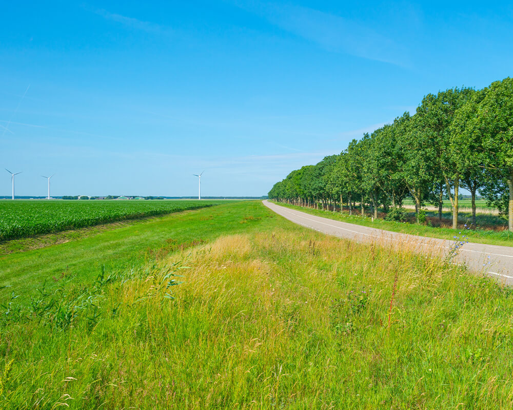 WI DOT Seed